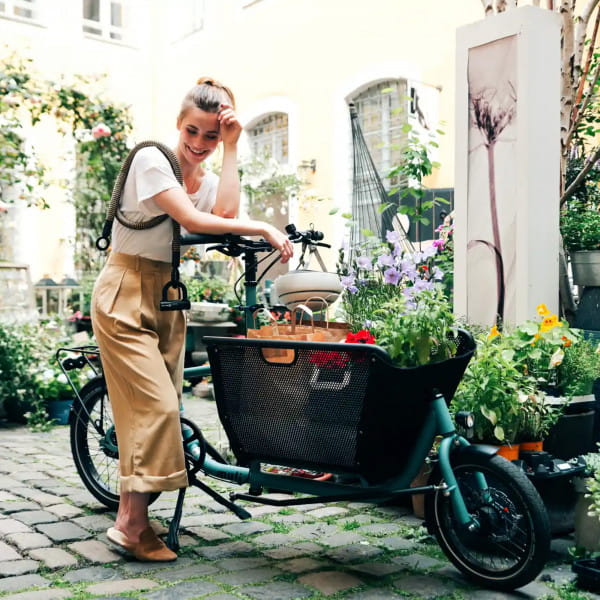 tex-lock eyelet inkl. U/X-lock Fahrradschloss - Wild Hemp