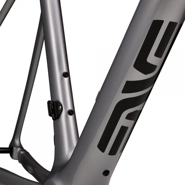 ENVE Fray Rahmenset GT Silver