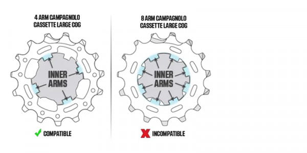 Wahoo Campagnolo Freilaufkörper für Kickr und Kickr CORE