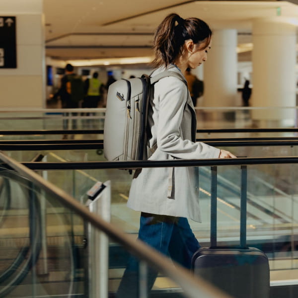 Peak Design Travel Backpack 20 Liter - Stone