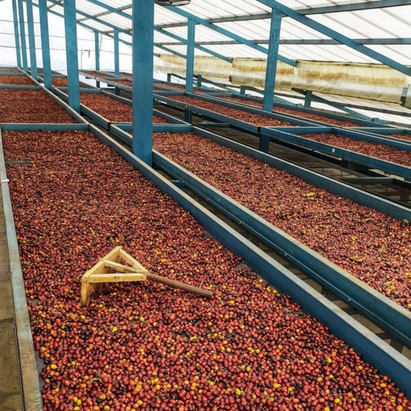 ENJOYYOURBIKE x V17 Espresso Castillo