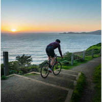 Vorschau: Redshift ShockStop Endurance Suspension Seatpost gefederte Sattelstütze Vorschau: Redshift ShockStop Endurance Suspension Seatpost gefederte Sattelstütze