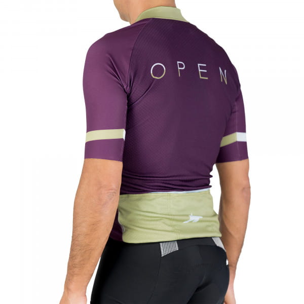 OPEN x ASSOS CG GT Men Jersey C2 EVO