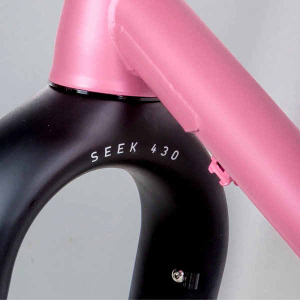 Curve GMX + Steel Frameset Pink Roadhouse