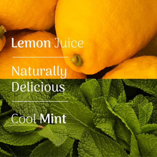 Veloforte Fresco Energy Chews - LEMON & COOL MINT