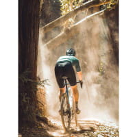 Vorschau: Redshift ShockStop Endurance Suspension Seatpost gefederte Sattelstütze Vorschau: Redshift ShockStop Endurance Suspension Seatpost gefederte Sattelstütze