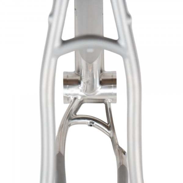 Curve Big Kev V2 Frameset