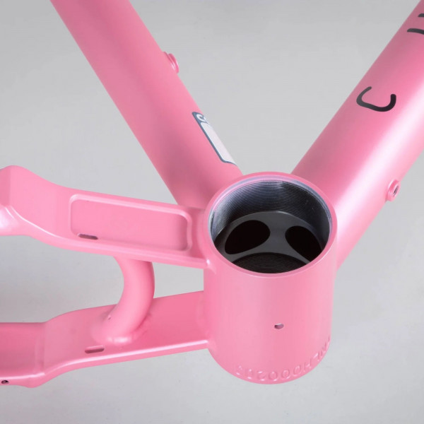 Curve GMX + Steel Frameset Pink Roadhouse