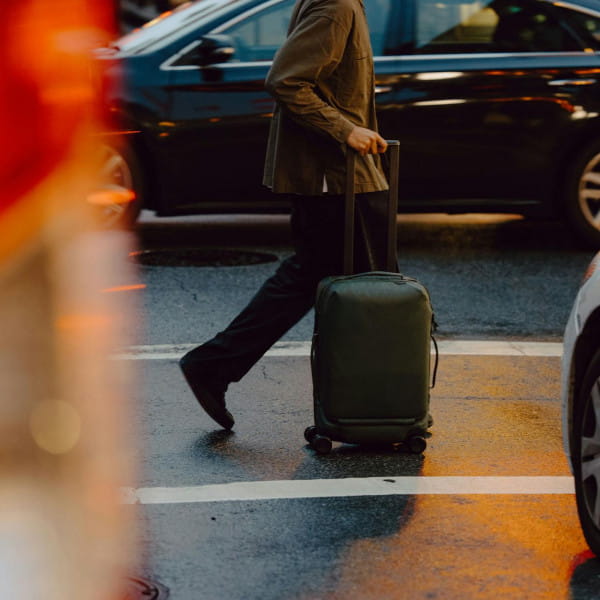 Peak Design Roller Pro Rollkoffer Sage